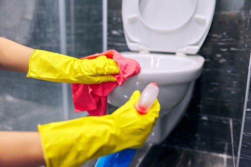 How To Clean And Disinfect Toilet Efficiently?