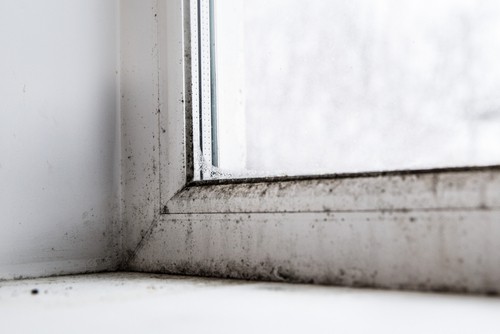 The Hidden Dangers of Dirty Windows